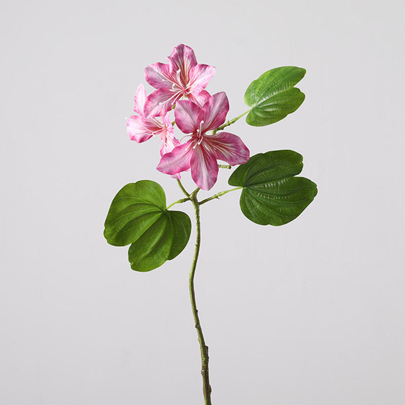 22 Inch Artificial Bauhinia Blakeana Stems, Real Touch Silk Flowers, 10 Pcs Bulk Pack