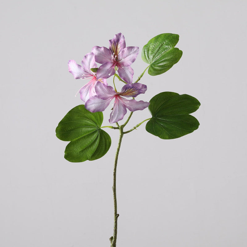 22 Inch Artificial Bauhinia Blakeana Stems, Real Touch Silk Flowers, 10 Pcs Bulk Pack