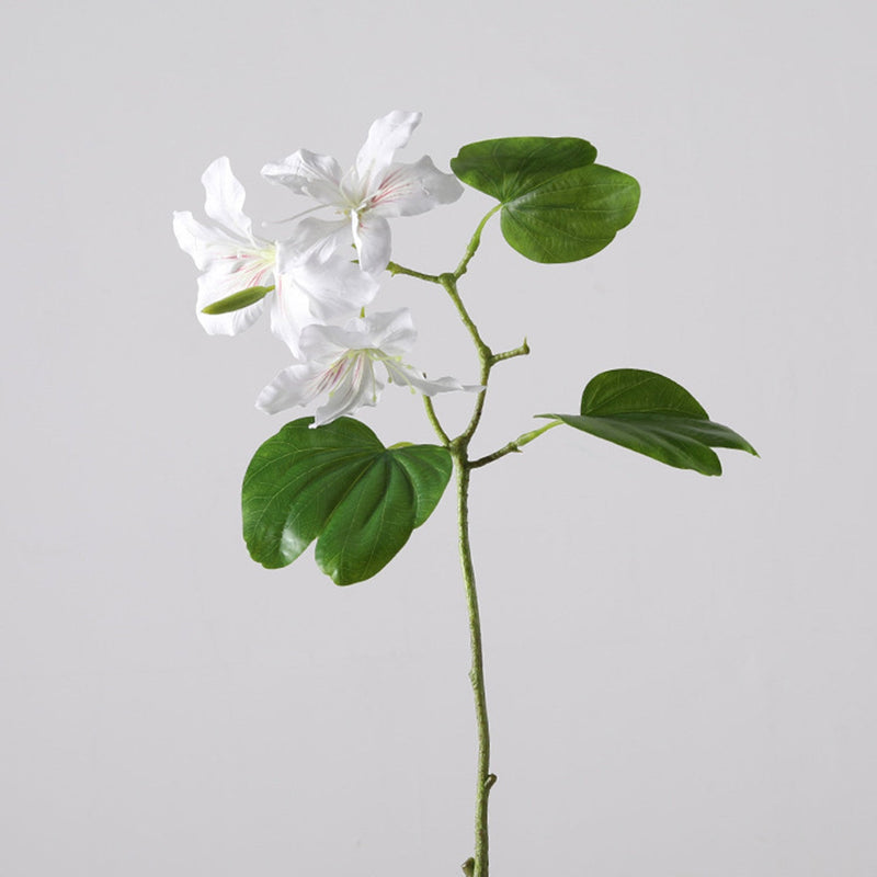 22 Inch Artificial Bauhinia Blakeana Stems, Real Touch Silk Flowers, 10 Pcs Bulk Pack
