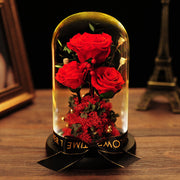10 Pcs Preserved Rose Stems Bulk Valentines Day Gifts for Her - Beauty and The Beast Theme