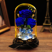 10 Pcs Preserved Rose Stems Bulk Valentines Day Gifts for Her - Beauty and The Beast Theme