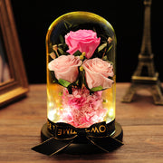 10 Pcs Preserved Rose Stems Bulk Valentines Day Gifts for Her - Beauty and The Beast Theme