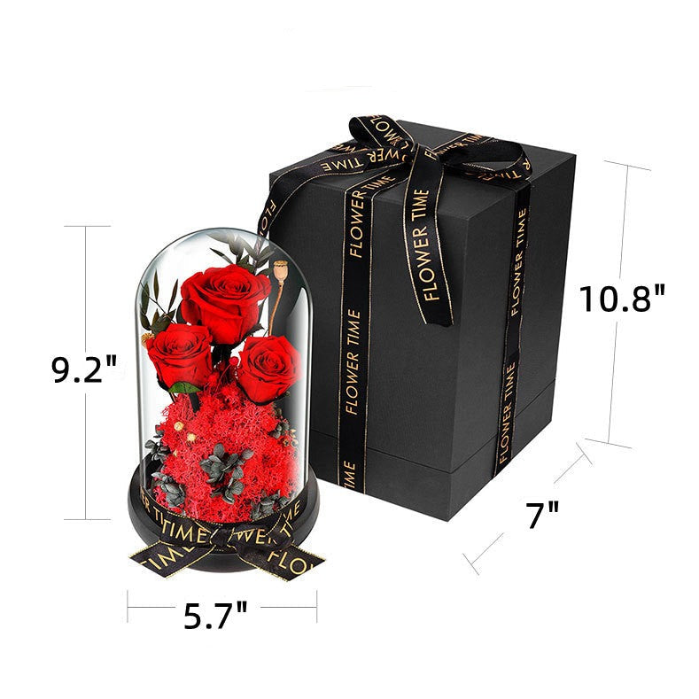10 Pcs Preserved Rose Stems Bulk Valentines Day Gifts for Her - Beauty and The Beast Theme