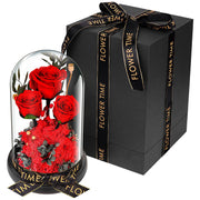 10 Pcs Preserved Rose Stems Bulk Valentines Day Gifts for Her - Beauty and The Beast Theme