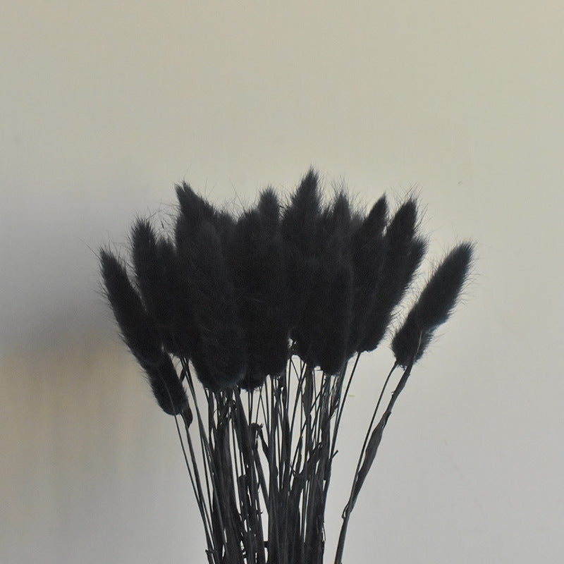 50 Pcs Natural Bunny Tails Dried Flowers, Soft Beige, 4-6 Inch Stems for Wedding, Baby Shower, Boho, Fall Decor