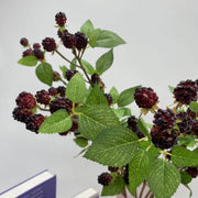 28.7 Inch Artificial Mulberry Blackberry Stems Spray Bulk Quantity