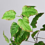 34 Inch Artificial Euphorbia Helioscopia Branches Greenery Botanical Plants Bulk Quantity