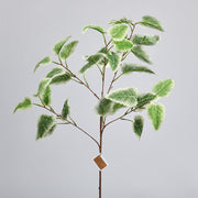 34 Inch Artificial Euphorbia Helioscopia Branches Greenery Botanical Plants Bulk Quantity