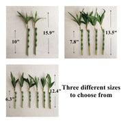 Artificial Bamboo Stems 10 Pcs 12 Inch Lucky Bamboo Plant Bulk Wholesale