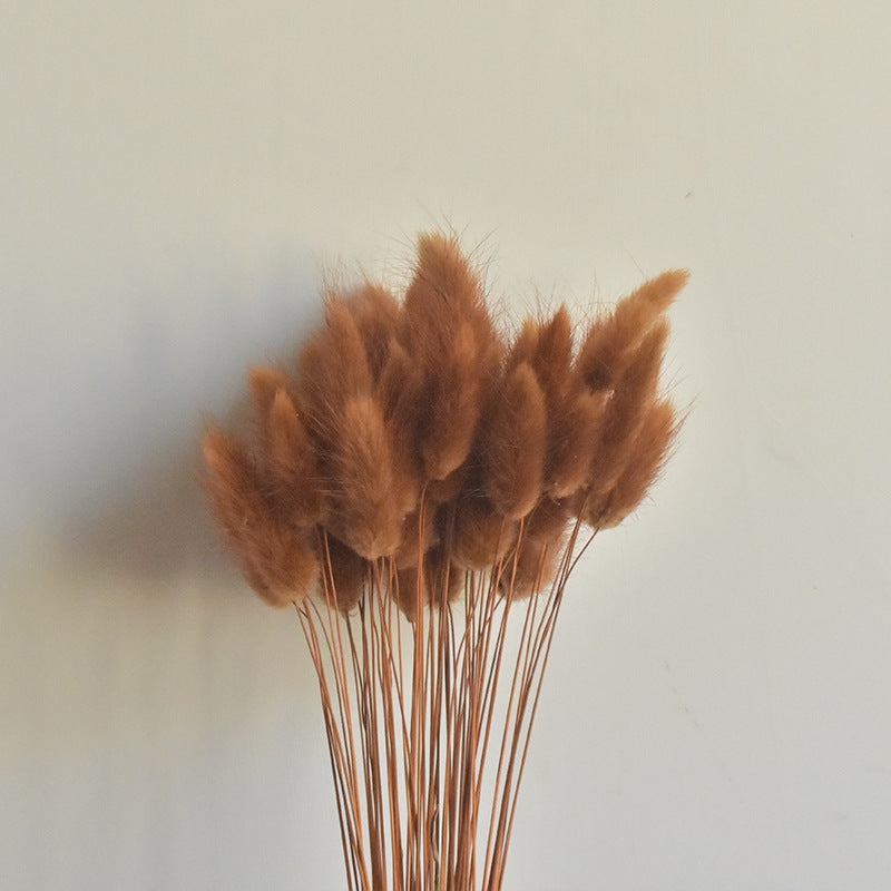 50 Pcs Natural Bunny Tails Dried Flowers, Soft Beige, 4-6 Inch Stems for Wedding, Baby Shower, Boho, Fall Decor