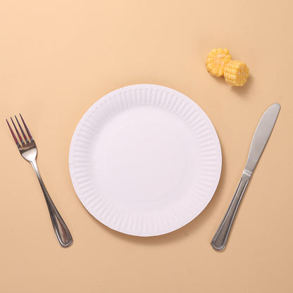 Bulk 9 Inch Disposable Eco-Friendly Paper Plates Wholesale