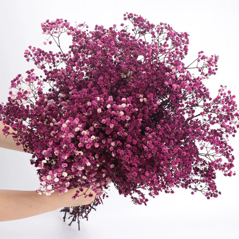Bulk 1 Bundle Dried Baby's Breath Gypsy Flowers for Wedding Floral Arrangement Home Party Decor Wholesale