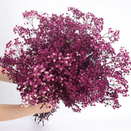Bulk 1 Bundle Dried Baby's Breath Gypsy Flowers for Wedding Floral Arrangement Home Party Decor Wholesale