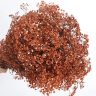 Bulk 1 Bundle Dried Baby's Breath Gypsy Flowers for Wedding Floral Arrangement Home Party Decor Wholesale