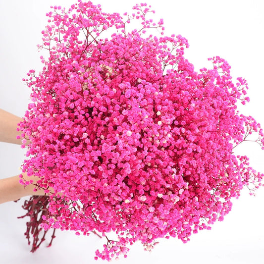 Bulk 1 Bundle Dried Baby's Breath Gypsy Flowers for Wedding Floral Arrangement Home Party Decor Wholesale