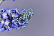 25.5 Inch Lilac Spray Stems, 6 Pcs Blue Purple Real Touch Artificial Flowers