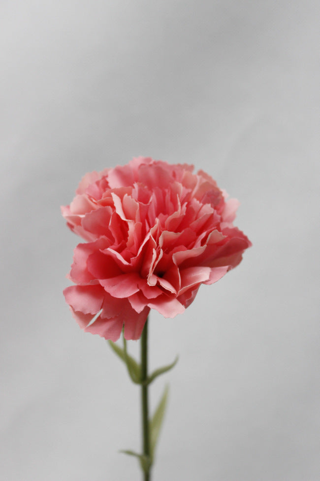 10.6 Inch Artificial Carnation Stems, 10 Pcs Bulk Silk Flowers
