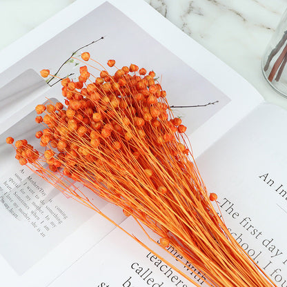 20 Pcs Dried Bean Fruit Flowers Bouquet for Crafts DIY Halloween Centerpiece Arrangement
