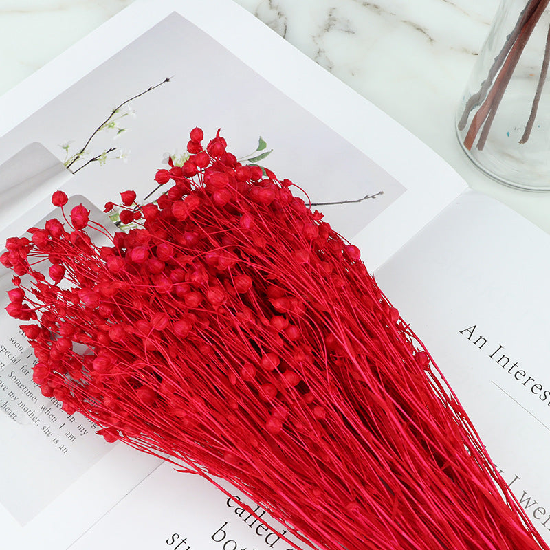 20 Pcs Dried Bean Fruit Flowers Bouquet for Crafts DIY Halloween Centerpiece Arrangement