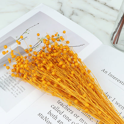 20 Pcs Dried Bean Fruit Flowers Bouquet for Crafts DIY Halloween Centerpiece Arrangement