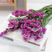 Forget Me Not Dried Flowers Bulk Quantity for Crafts DIY Floral Arrangements