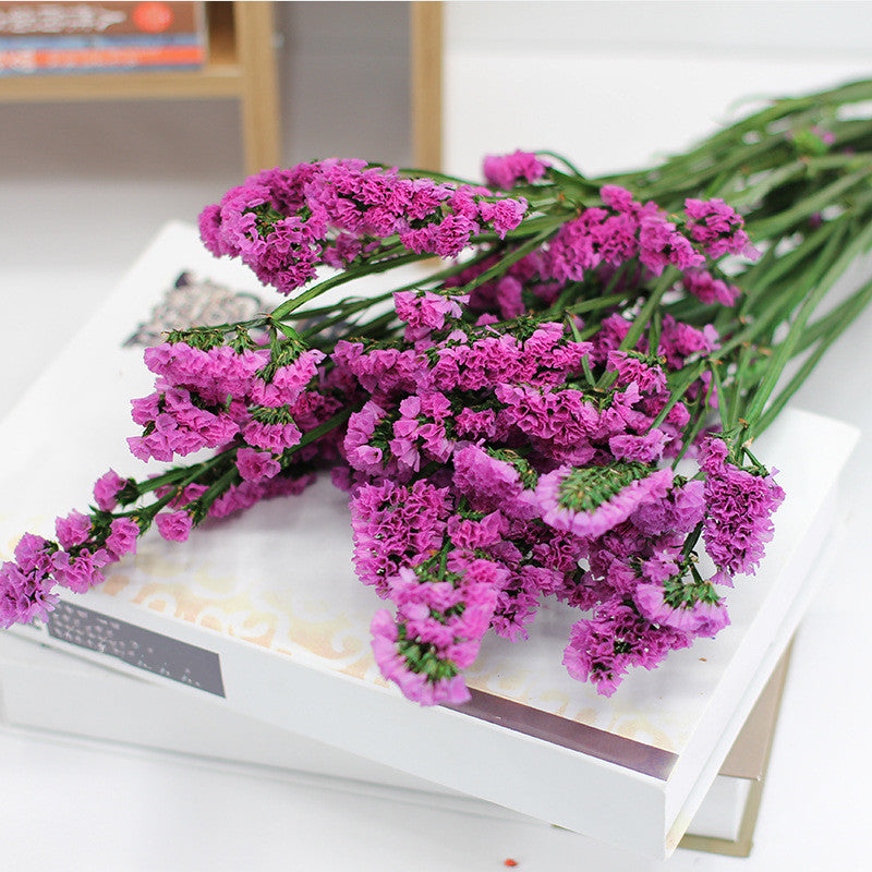 Forget Me Not Dried Flowers Bulk Quantity for Crafts DIY Floral Arrangements