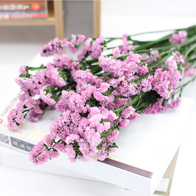 Forget Me Not Dried Flowers Bulk Quantity for Crafts DIY Floral Arrangements