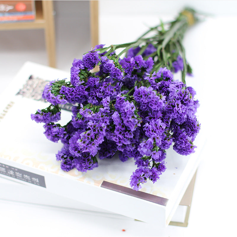 Forget Me Not Dried Flowers Bulk Quantity for Crafts DIY Floral Arrangements
