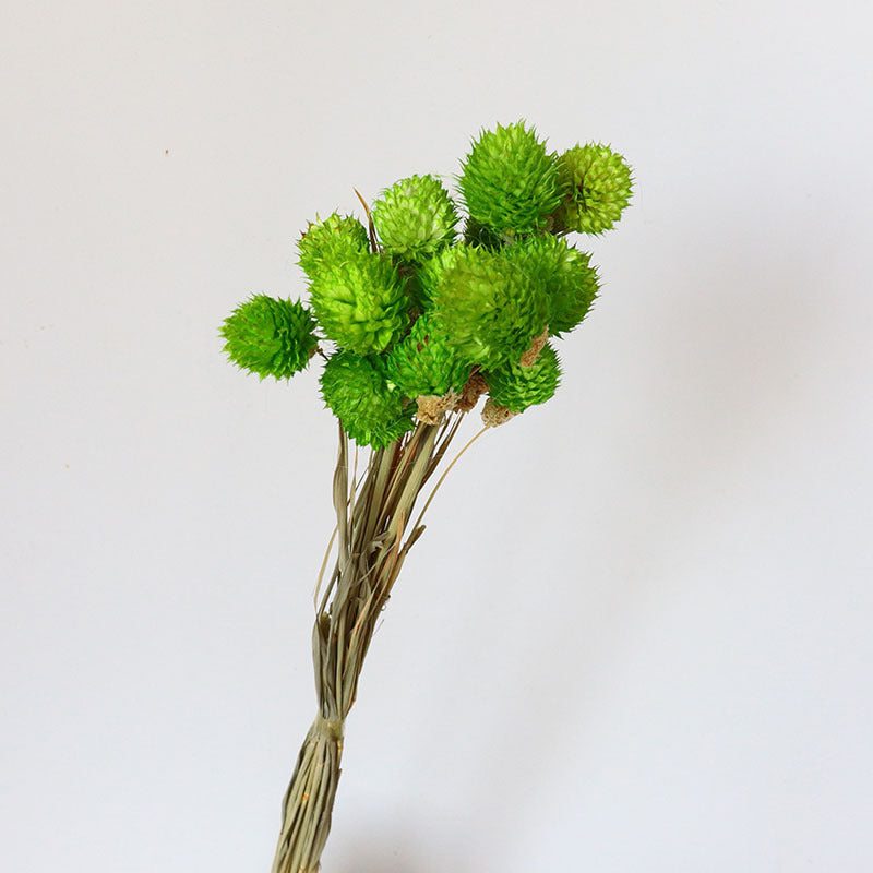 15 Pcs 15" Dried Gomphrena Globosa Ball Fruit Stems Fall Artificial Flowers for Centerpiece