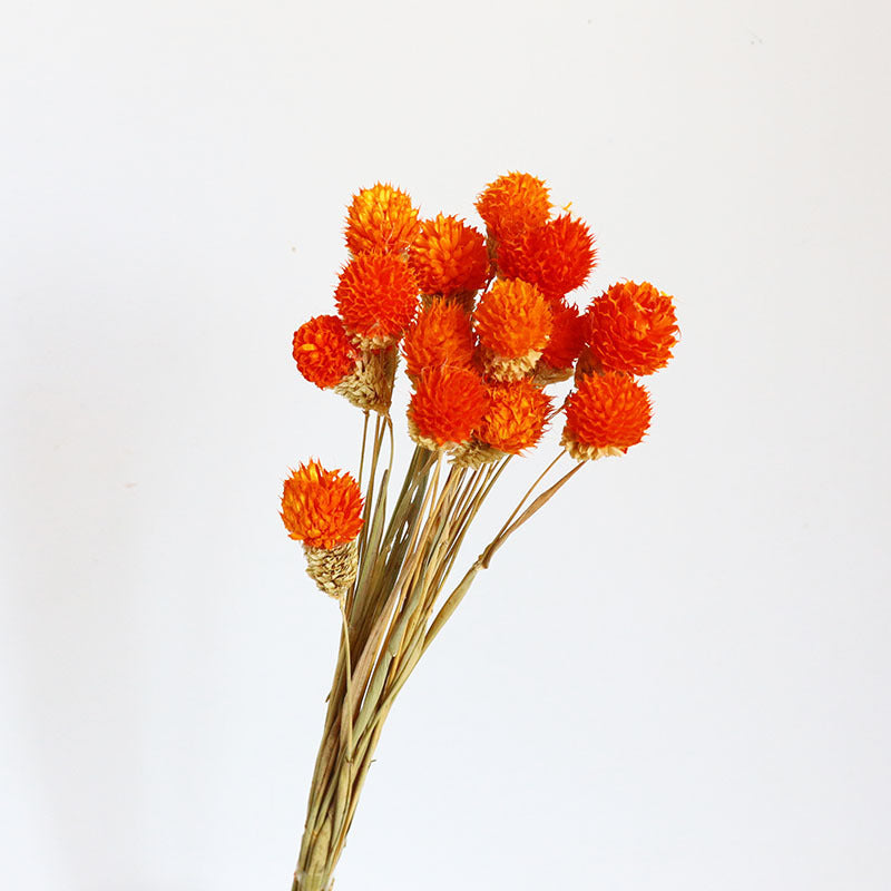 15 Pcs 15" Dried Gomphrena Globosa Ball Fruit Stems Fall Artificial Flowers for Centerpiece