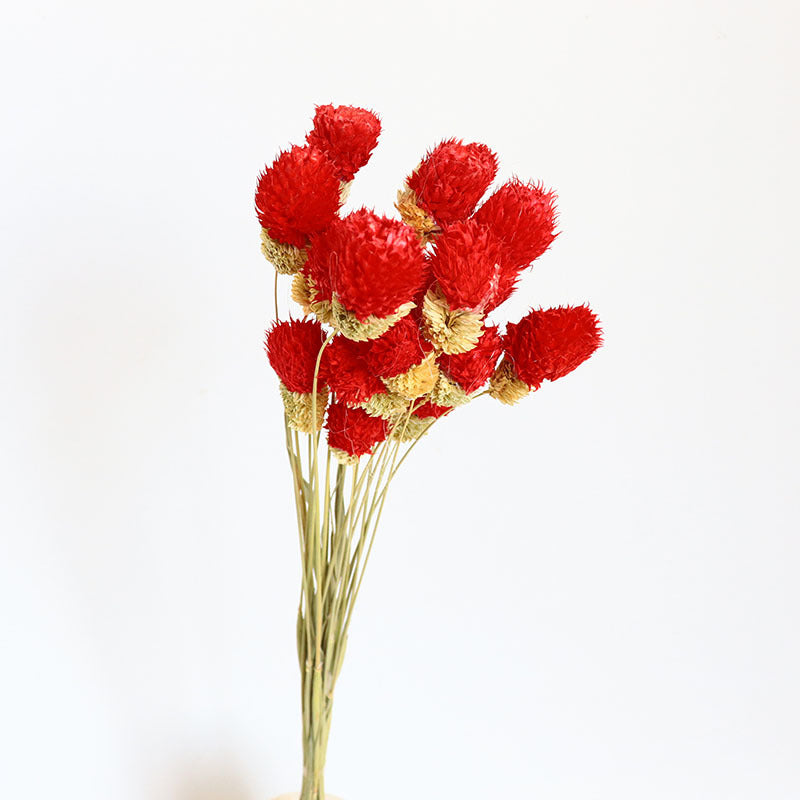 15 Pcs 15" Dried Gomphrena Globosa Ball Fruit Stems Fall Artificial Flowers for Centerpiece