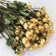 Dried Rose Flowers for Crafts DIY Bulk Quantity Natural Color