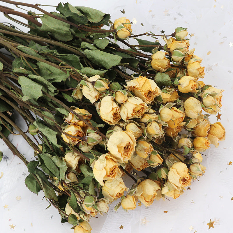 Dried Rose Flowers for Crafts DIY Bulk Quantity Natural Color