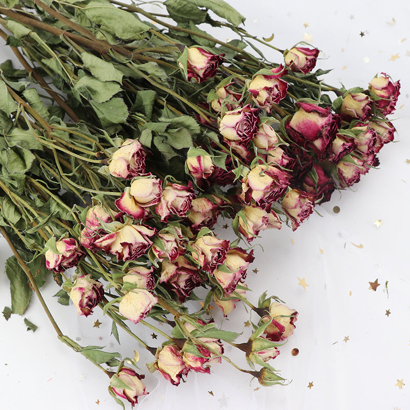 Dried Rose Flowers for Crafts DIY Bulk Quantity Natural Color