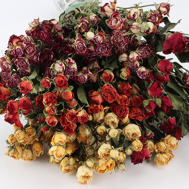 Dried Rose Flowers for Crafts DIY Bulk Quantity Natural Color