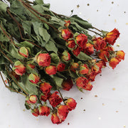 Dried Rose Flowers for Crafts DIY Bulk Quantity Natural Color