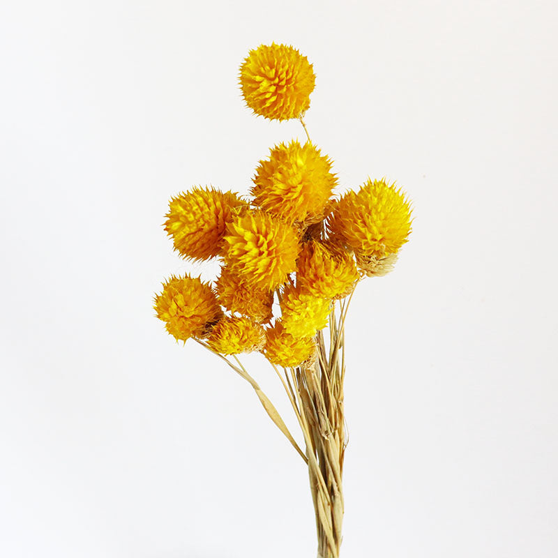 15 Pcs 15" Dried Gomphrena Globosa Ball Fruit Stems Fall Artificial Flowers for Centerpiece