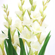 5 Pcs Extra Tall 43 Inch Gladiolus Artificial Silk Flowers Long Stems Bulk