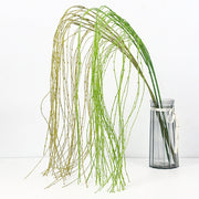 50 Inch Artificial Willow Tree Branches Bulk Green Extra Large 50 Pcs