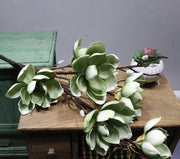 50 Inch Magnolia Artificial Flower Stems Bulk 10 Pcs Extra Long Silk Stems for Tall Vases