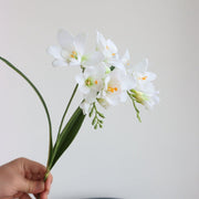 25 Inch Artificial Freesia Stems 25 Pcs Real Touch Silk Flowers Bulk Wholesale