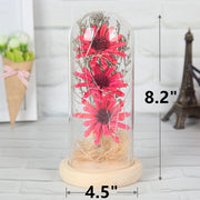 Preserved Mum Flower in Glass Dome Light Up Gift for Her Bulk Wholesale