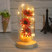 Preserved Mum Flower in Glass Dome Light Up Gift for Her Bulk Wholesale