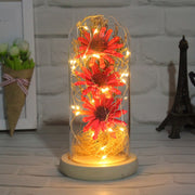 Preserved Mum Flower in Glass Dome Light Up Gift for Her Bulk Wholesale