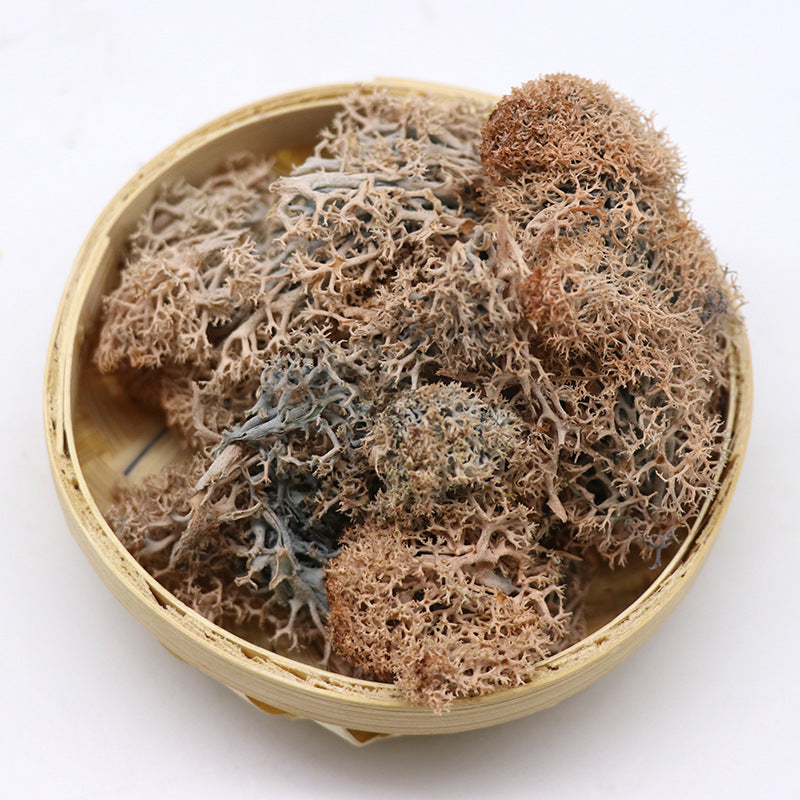 1.7 Ounce Preserved Moss for Crafts Vase Filler Table Centerpieces Fairy Garden Wedding Decor Bulk Quantity