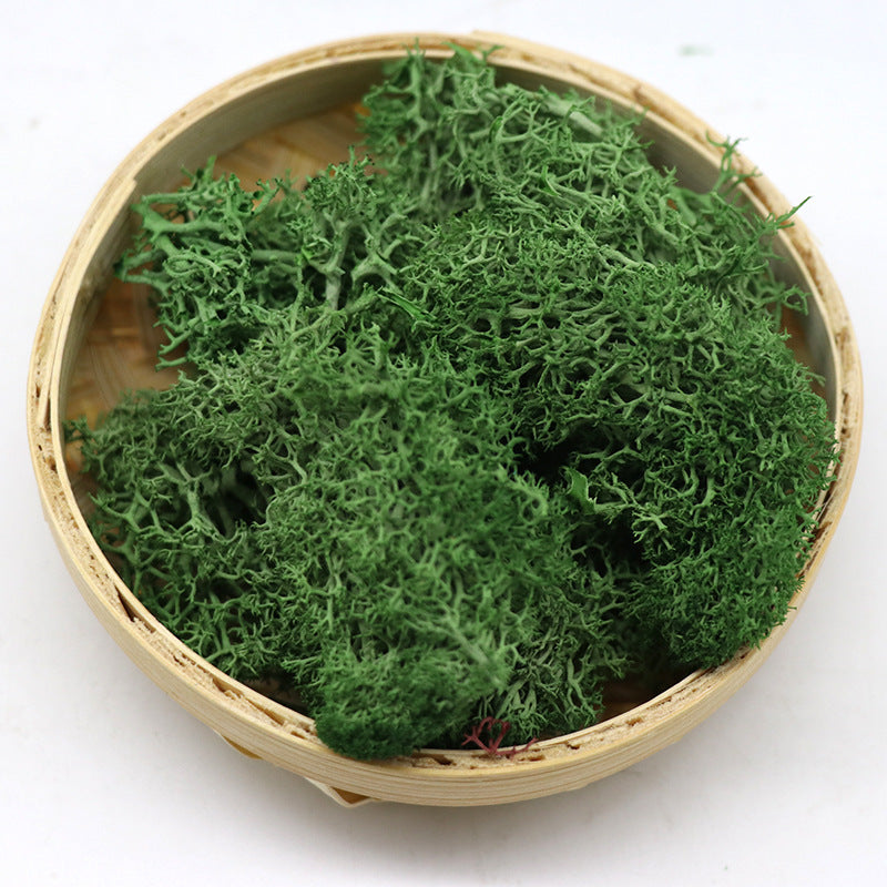 1.7 Ounce Preserved Moss for Crafts Vase Filler Table Centerpieces Fairy Garden Wedding Decor Bulk Quantity