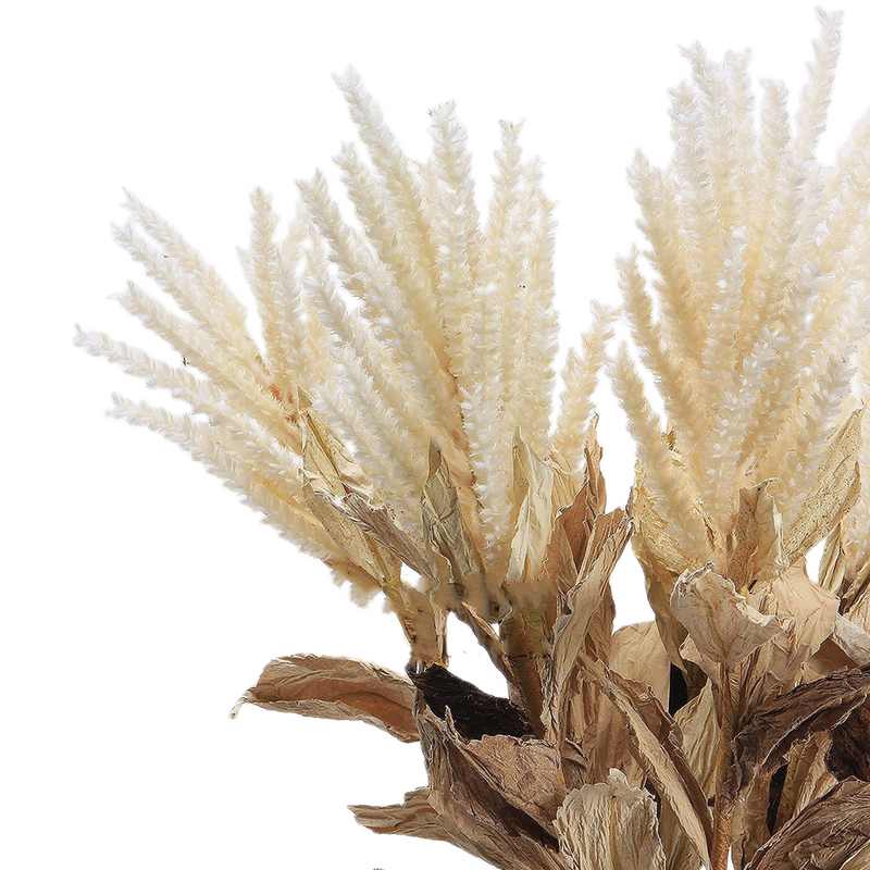 Wabi-Sabi Pampas Grass Stems 10 Pcs 24 Inch Real Touch Artificial Plants Bulk