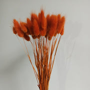 50 Pcs Natural Bunny Tails Dried Flowers, Soft Beige, 4-6 Inch Stems for Wedding, Baby Shower, Boho, Fall Decor