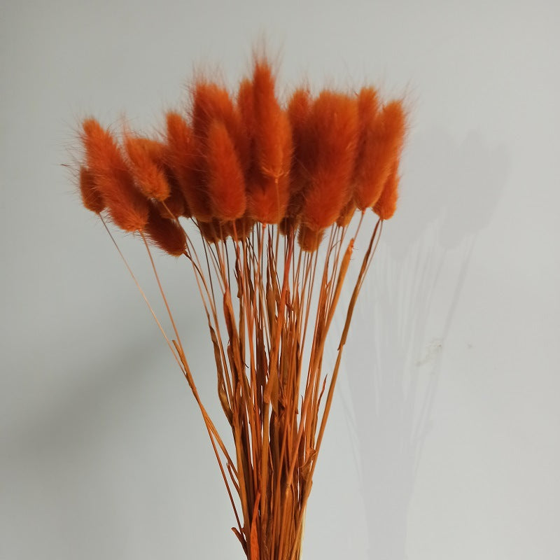 50 Pcs Natural Bunny Tails Dried Flowers, Soft Beige, 4-6 Inch Stems for Wedding, Baby Shower, Boho, Fall Decor