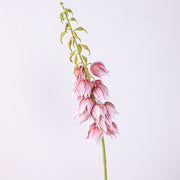 38 Inch Extra Long Campanula Stems, 10 Pcs Real Touch Artificial Flowers